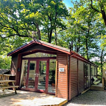 Welsh Villa-Hot Tub-Tenby-Carmarthen-Forestsetting Exterior photo